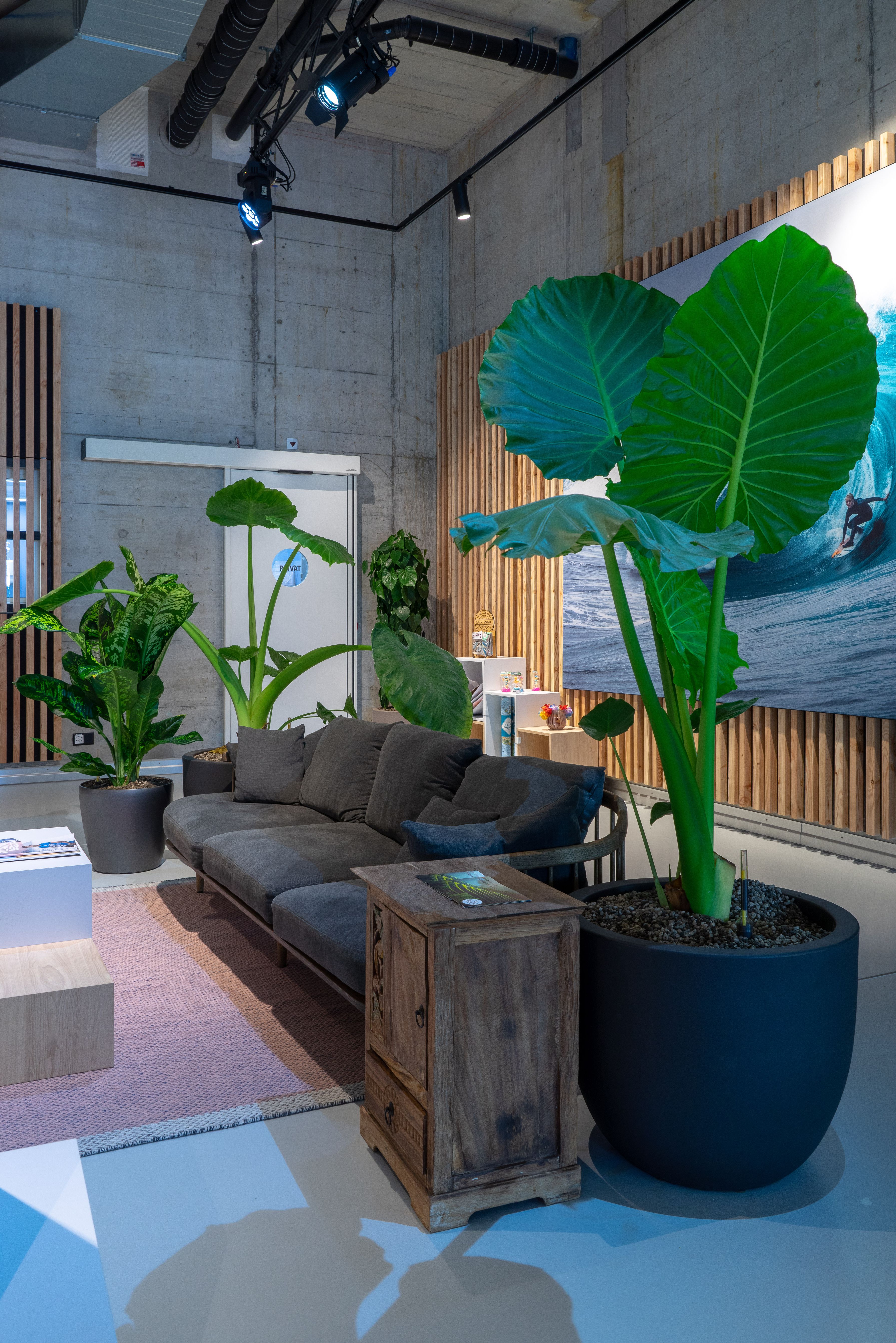 Bilder Widler Gartenbau + Floristik AG