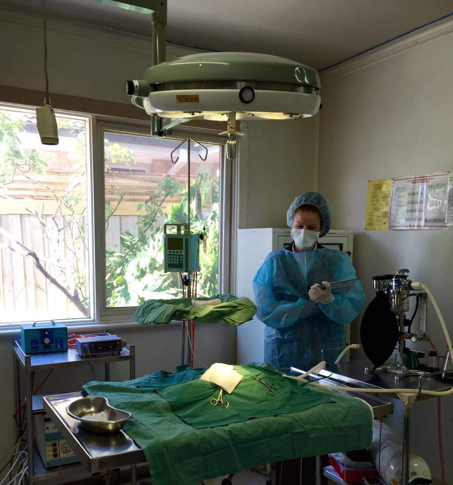 Images Glenvale Veterinary Clinic