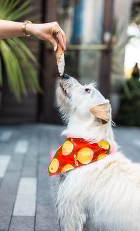 Images The Culver Hotel