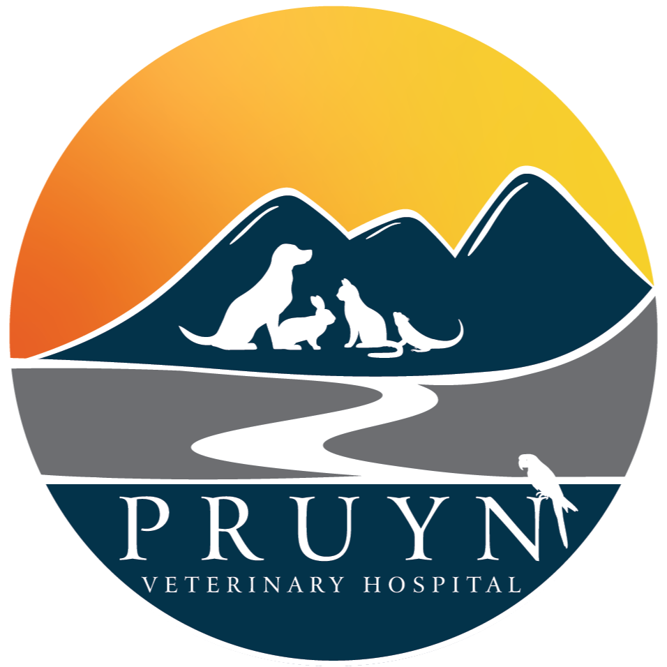 Pruyn Veterinary Hospital
