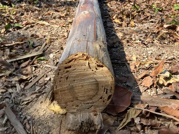 Manifested Concepts, LLC Image