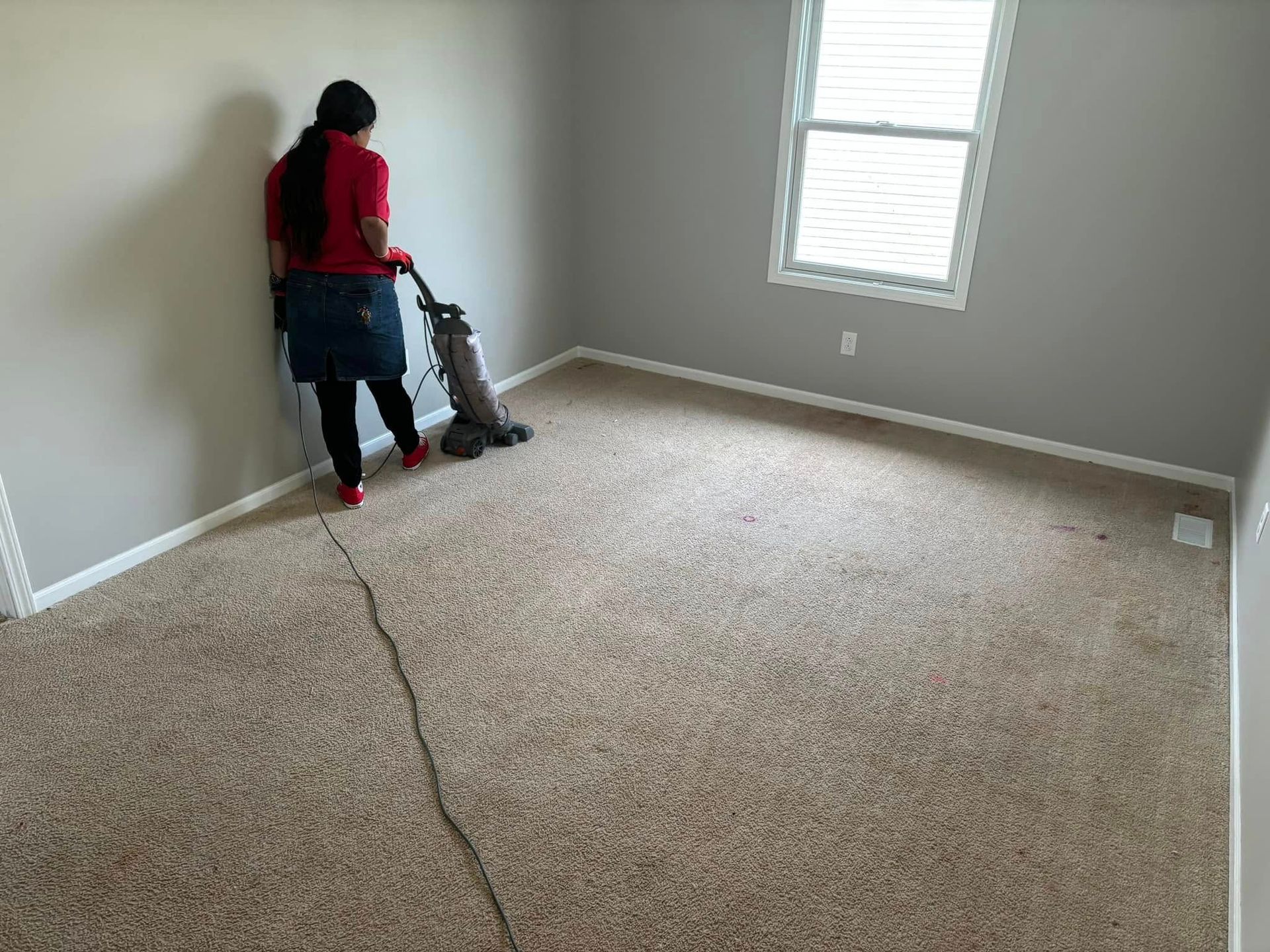 Dizzo's Carpet Cleaning and Upholstery