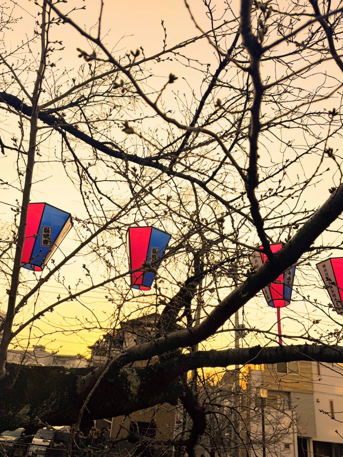 Images 横浜の大衆焼肉 弘明寺駅前店