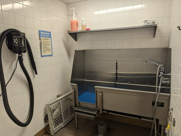 Images Petco Grooming