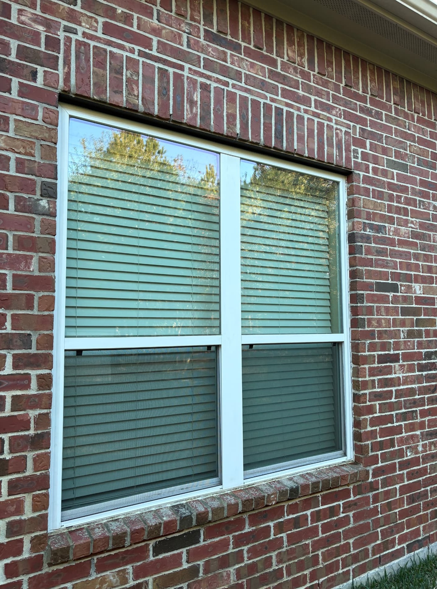 Professionally cleaned residential windows with crystal-clear, streak-free glass, showcasing window cleaning services in Montgomery, TX by Integrative Soft Wash and Property Services