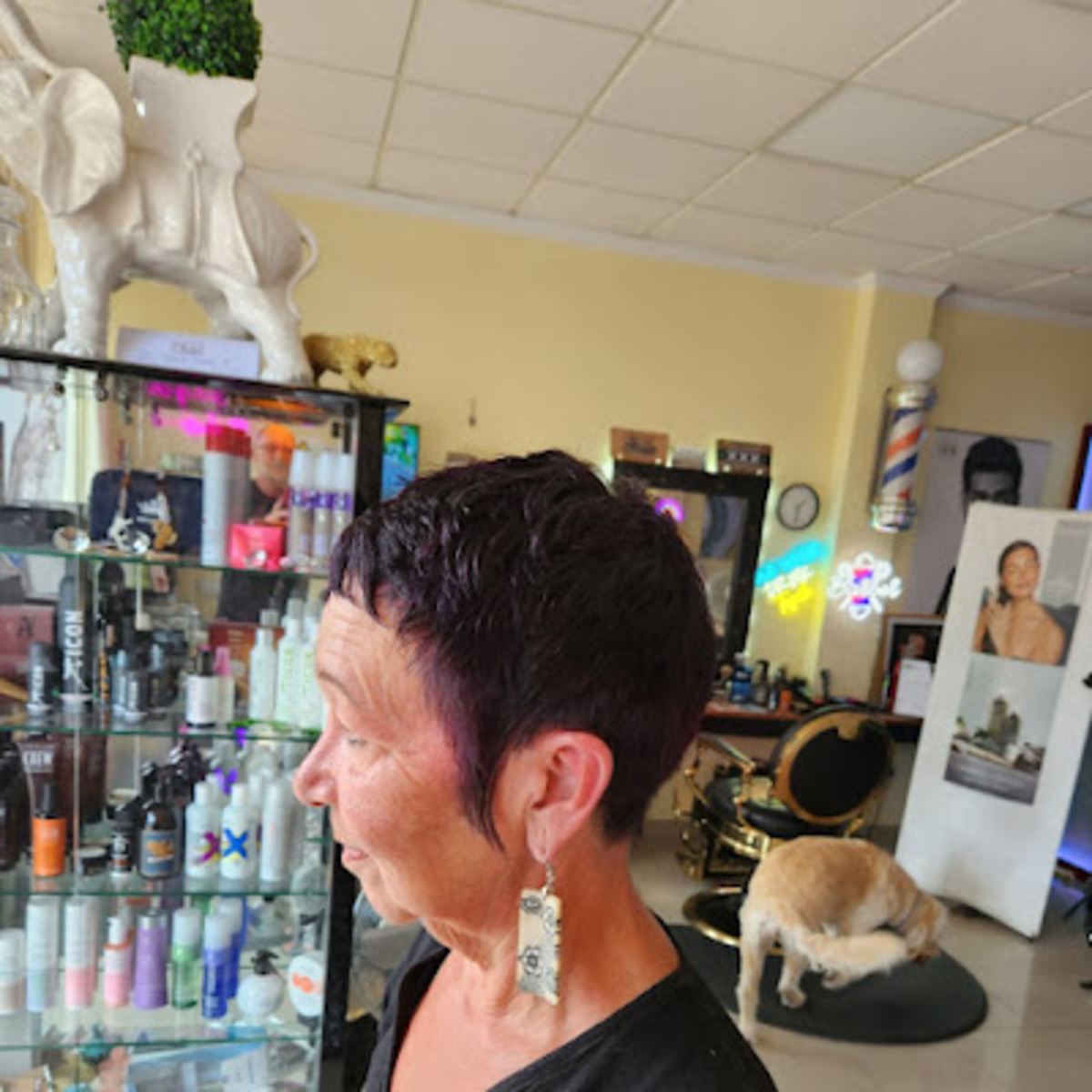 Images Salón Zenzhair