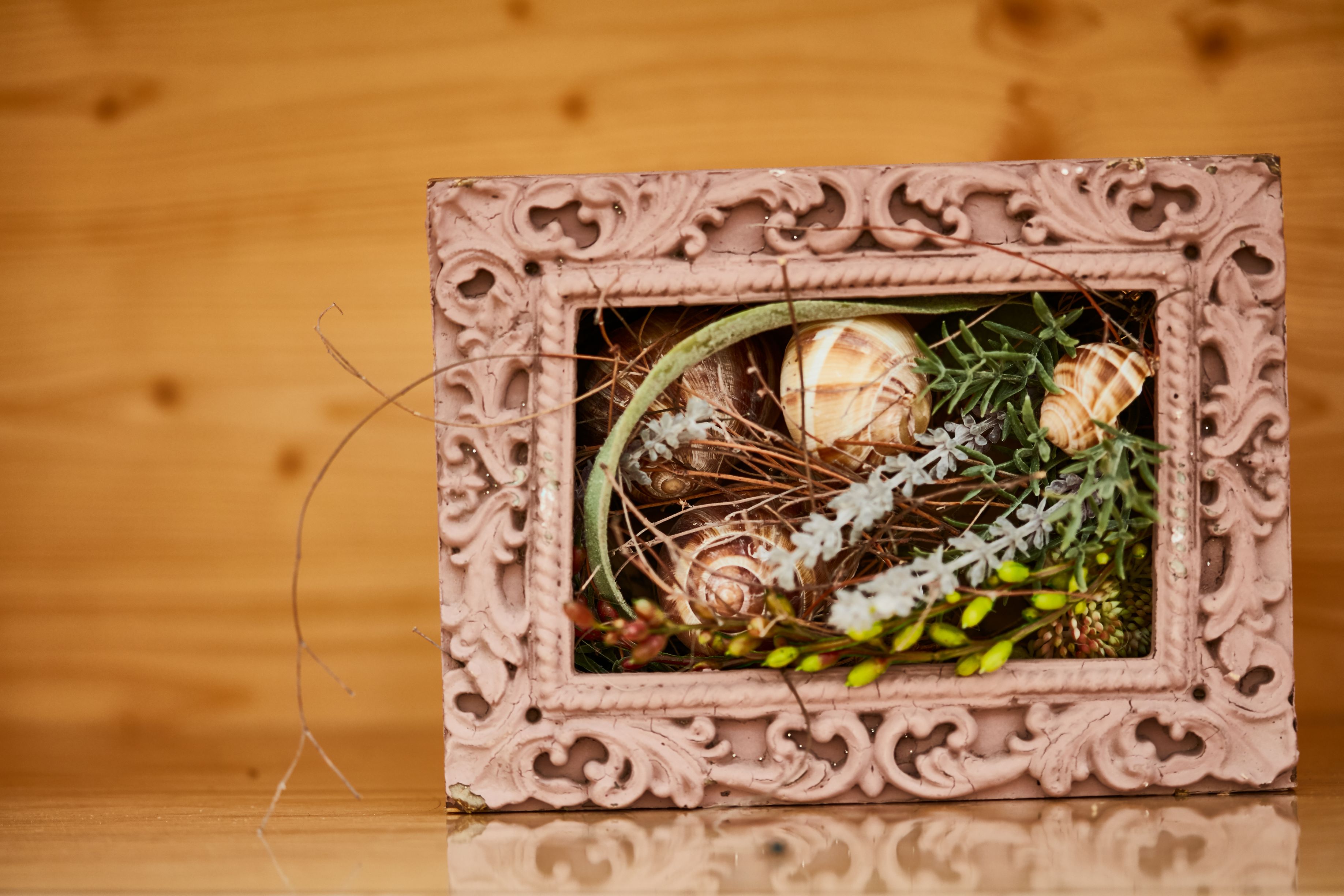 Bilder Gärtnerei Allemann GmbH