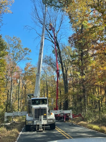 Images Justin Tree Services & Lawn Care