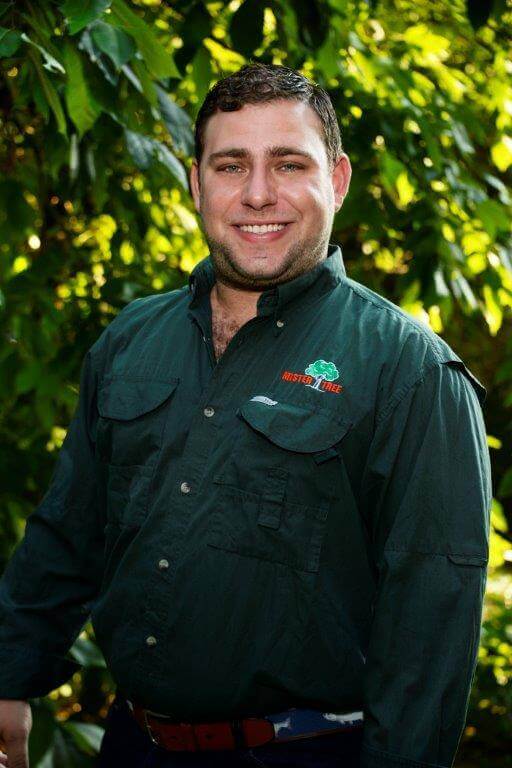 Mister Tree Service Photo