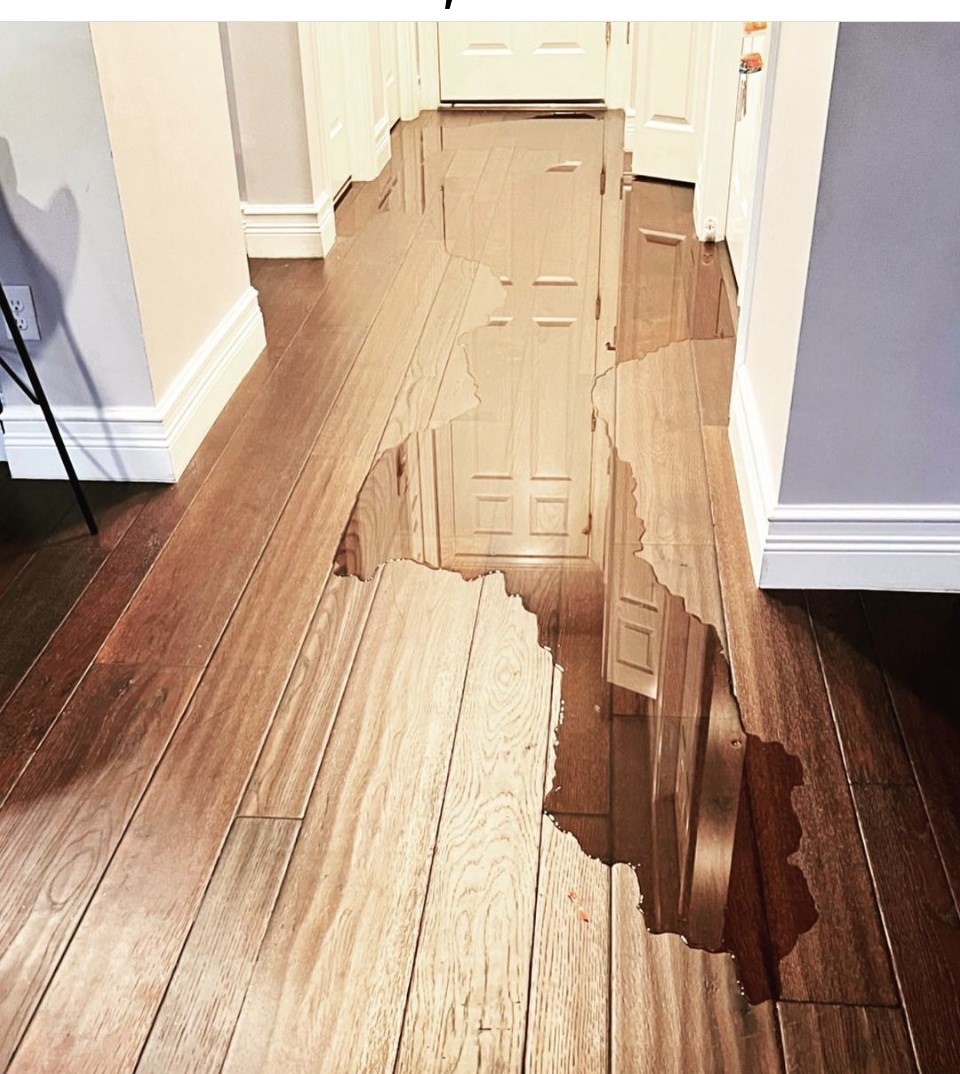 Waking up in the morning and finding this is never a good thing. Thankfully our Davie customer had SERVPRO of East Davie/Cooper City's phone number saved in her cell phone for those "just in case" emergency issues. We were able to dry up and yes, we saved her wood floors from being replaced.