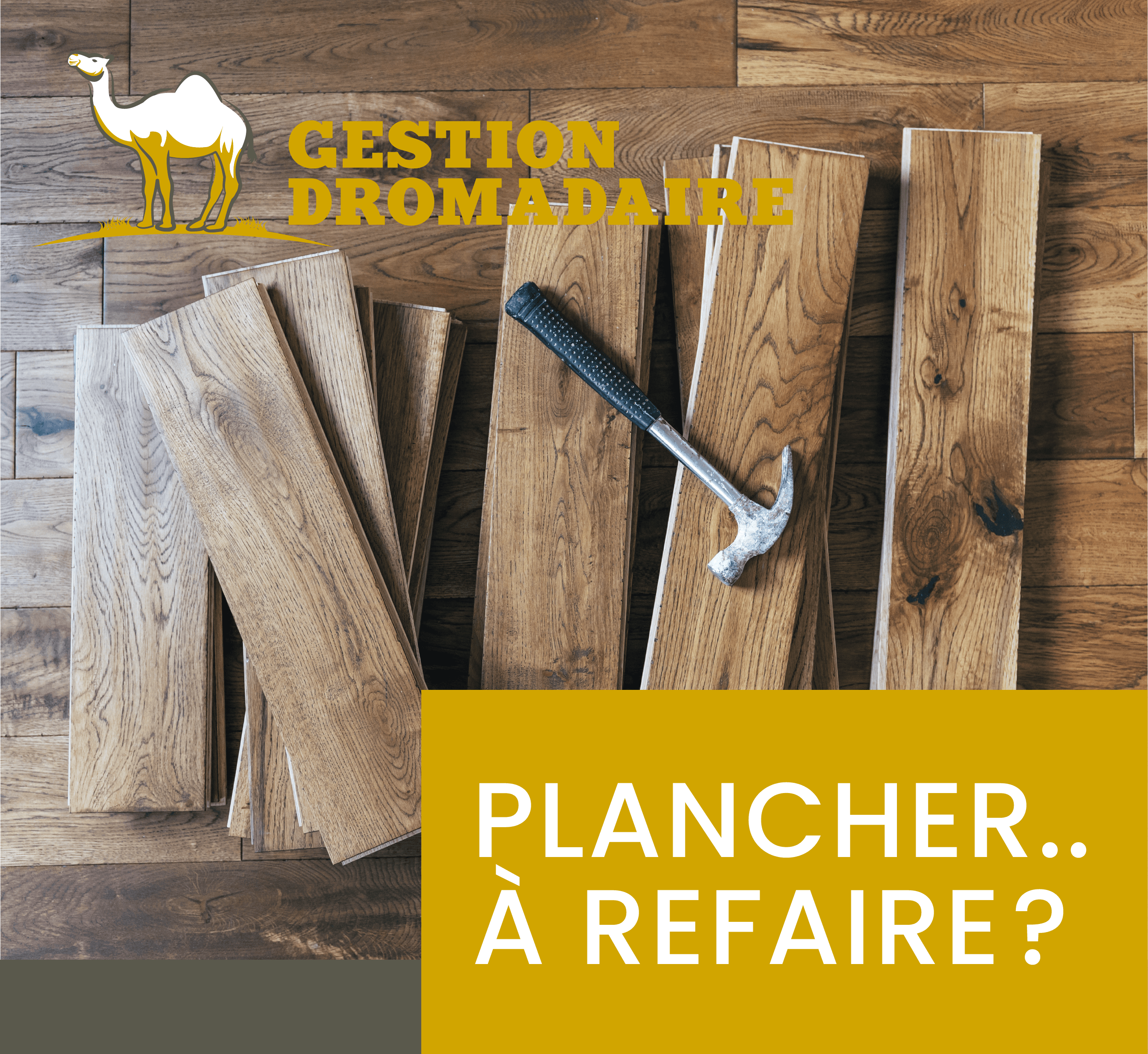 Images Gestion Dromadaire Inc