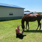 Images Star Ridge Stables