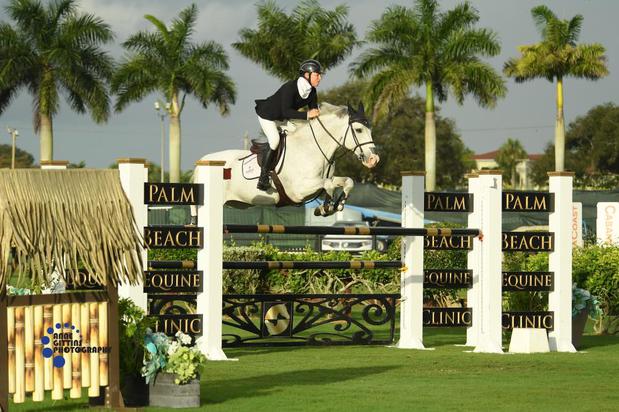 Images Palm Beach Equine Clinic