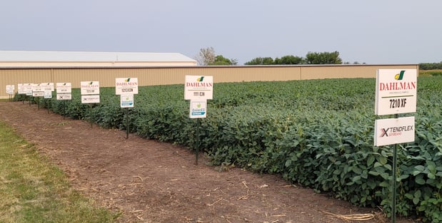 Images Dahlman Seed Company, LLP