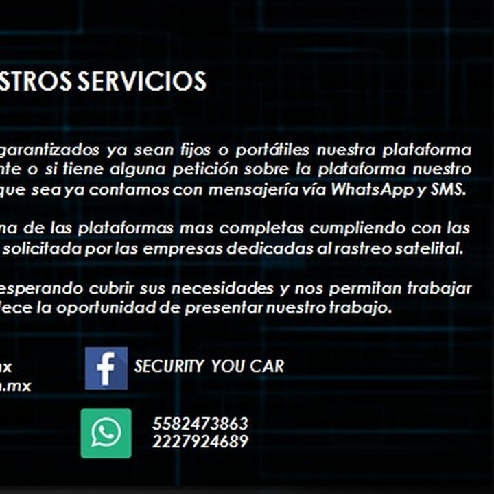 Images SECURITY YOU CAR