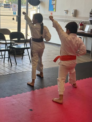 Images Jaguar Dojo