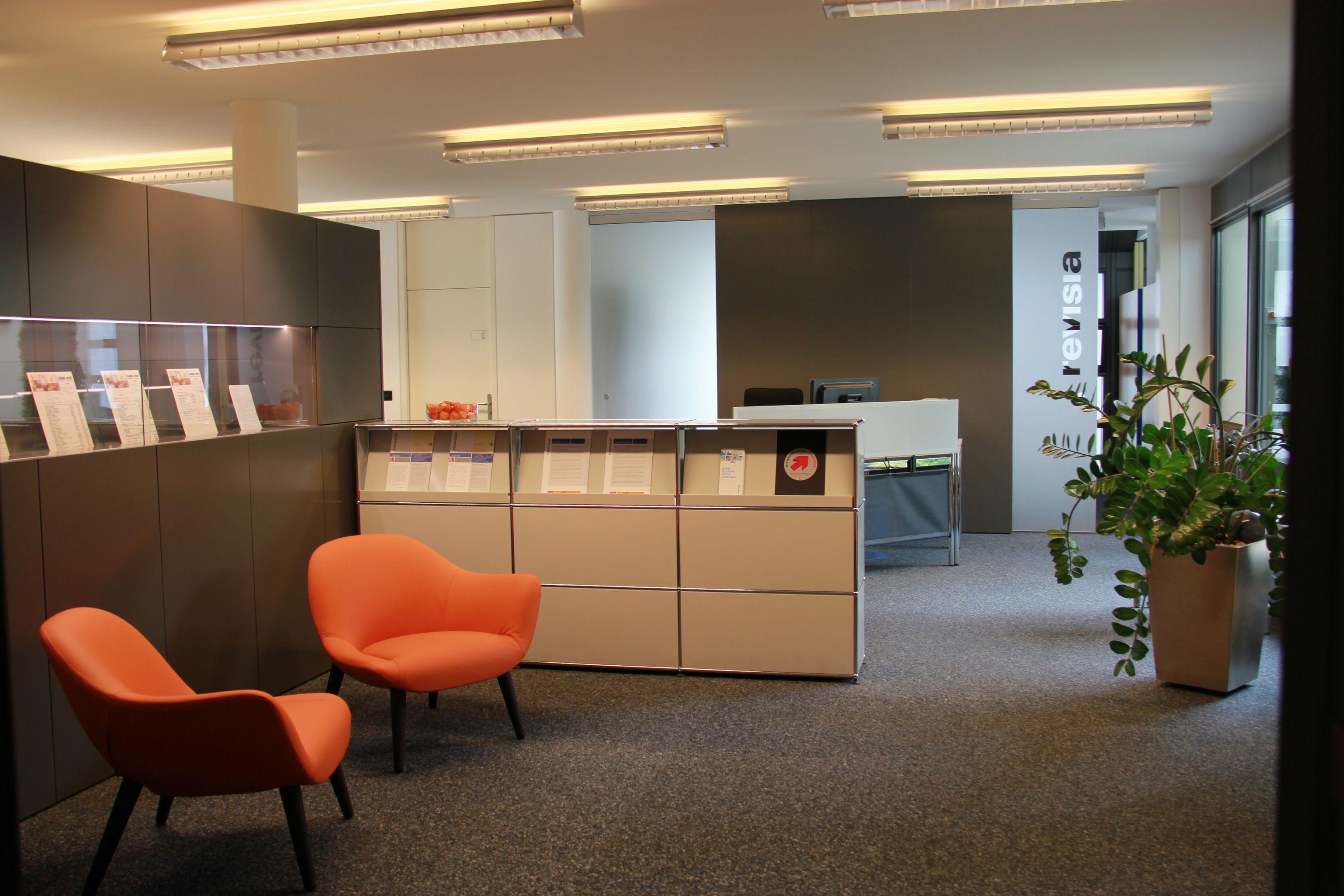 Bilder REVISIA AG