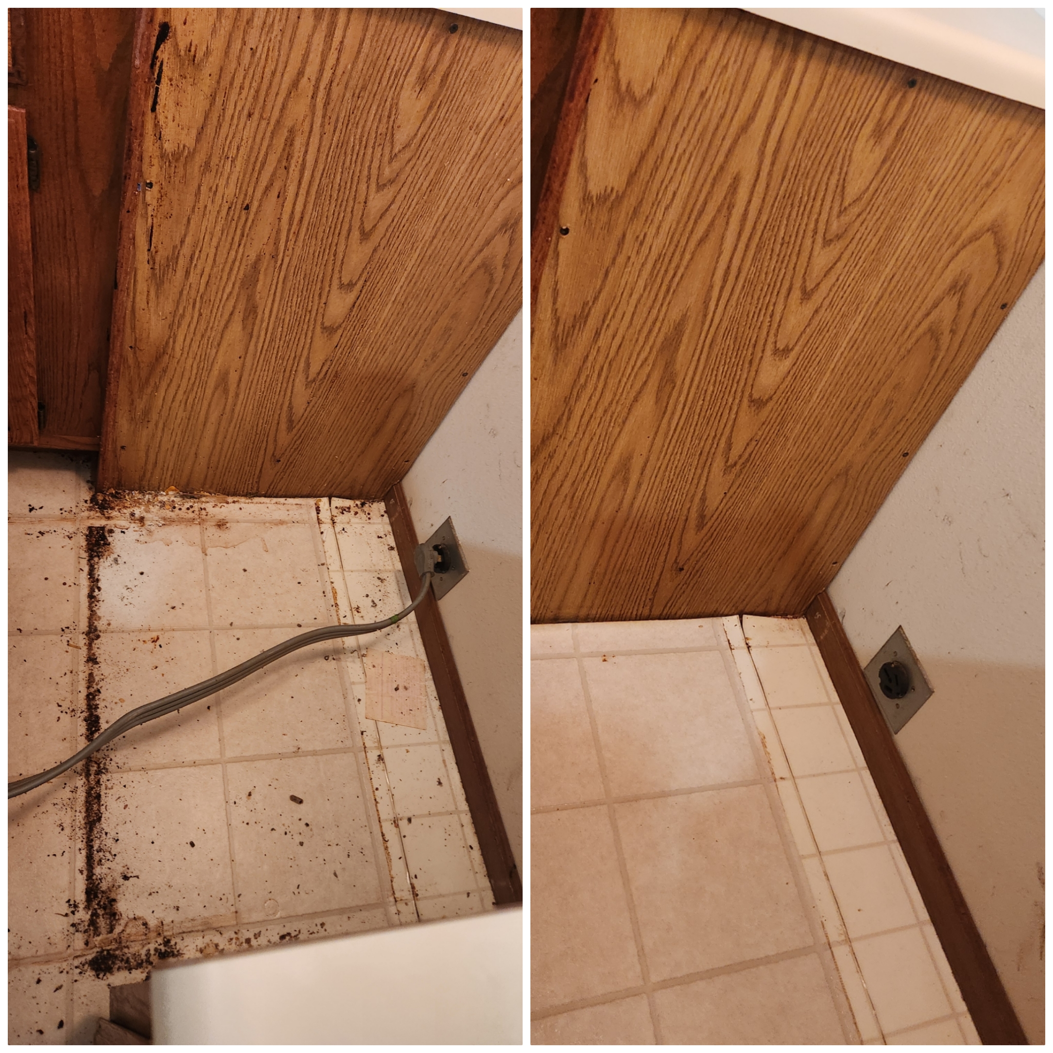 Bella Shine Cleaning Services LLC Image