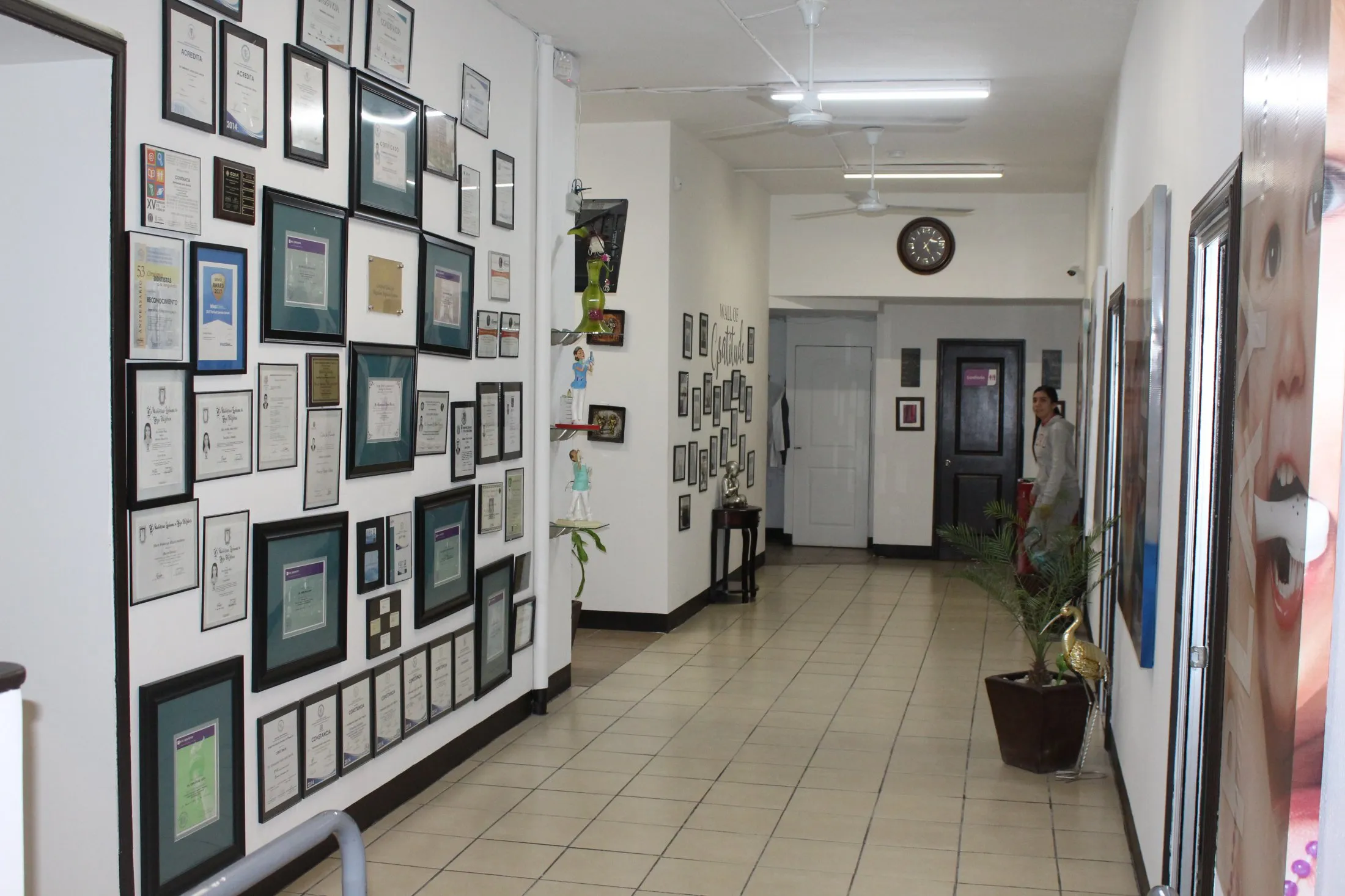 Galería en miniatura