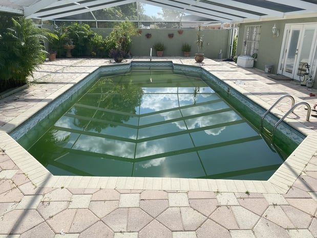 Images Paradise Palm Pools Inc