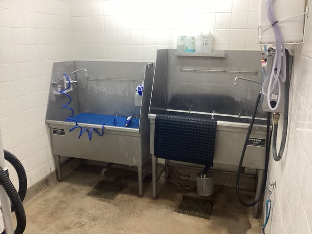 Images Petco Grooming