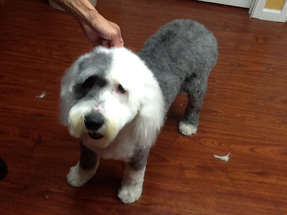 Harry's after picture.