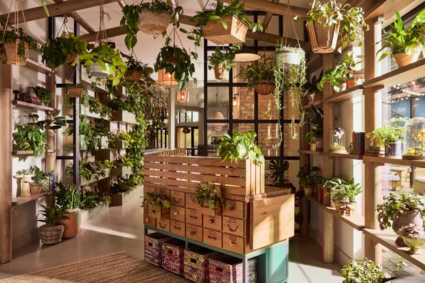 Images Treehouse Hotel Silicon Valley