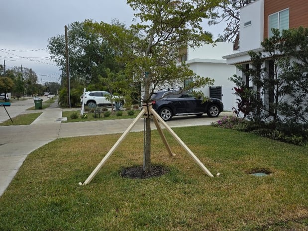 Images Art's Tree Service
