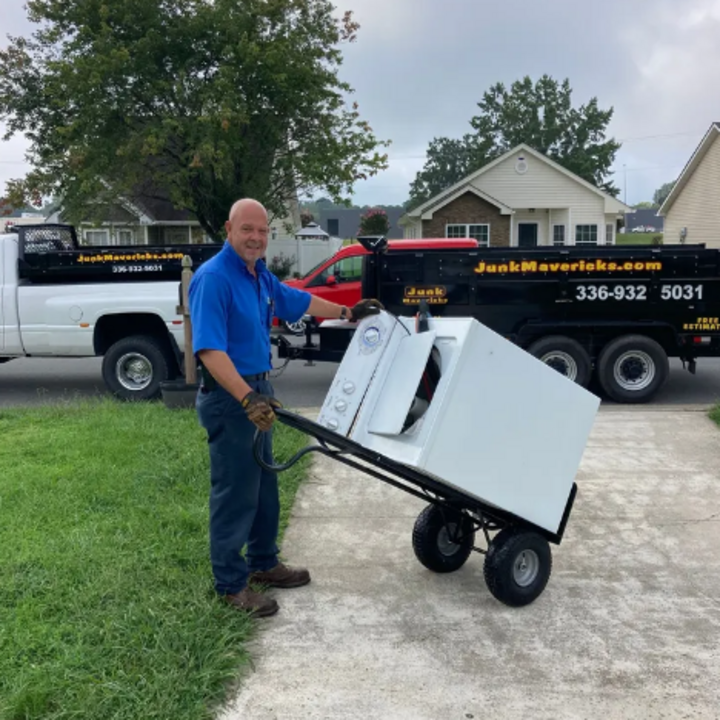 Images Junk Mavericks