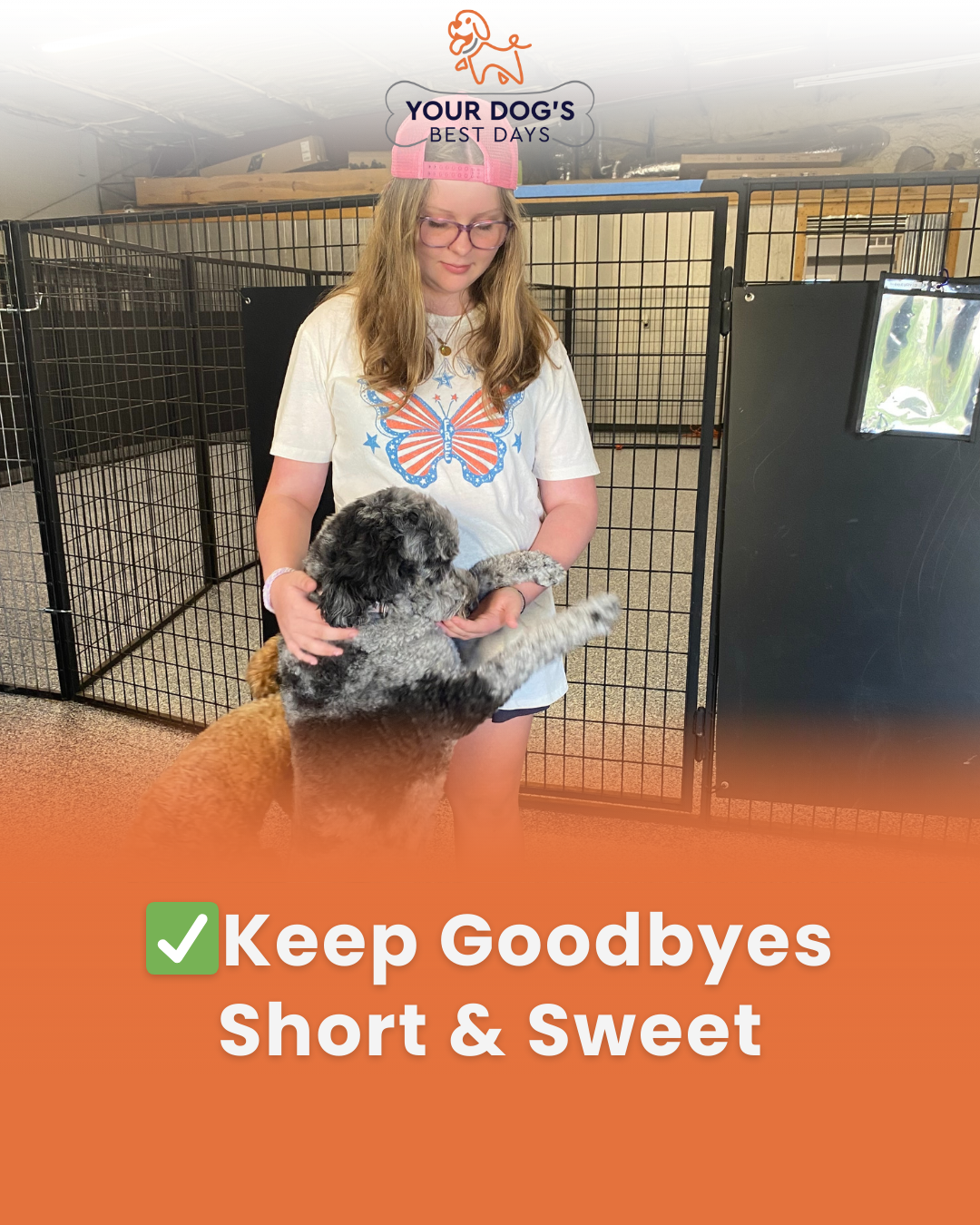Dog daycare photo showing a happy dog in a supervised play area, with a reminder to keep drop-off goodbyes short and sweet.