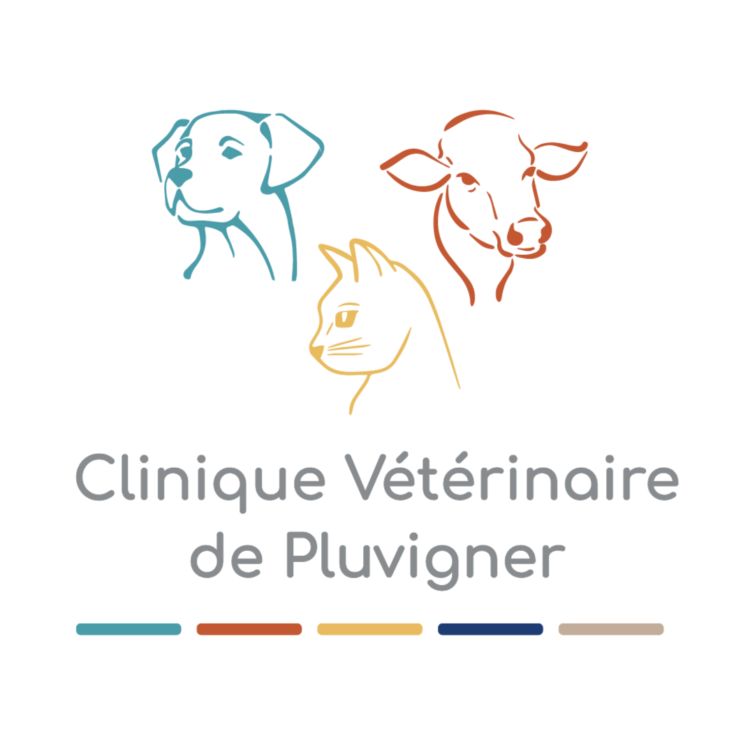 GSAB - Clinique Vétérinaire de Pluvigner