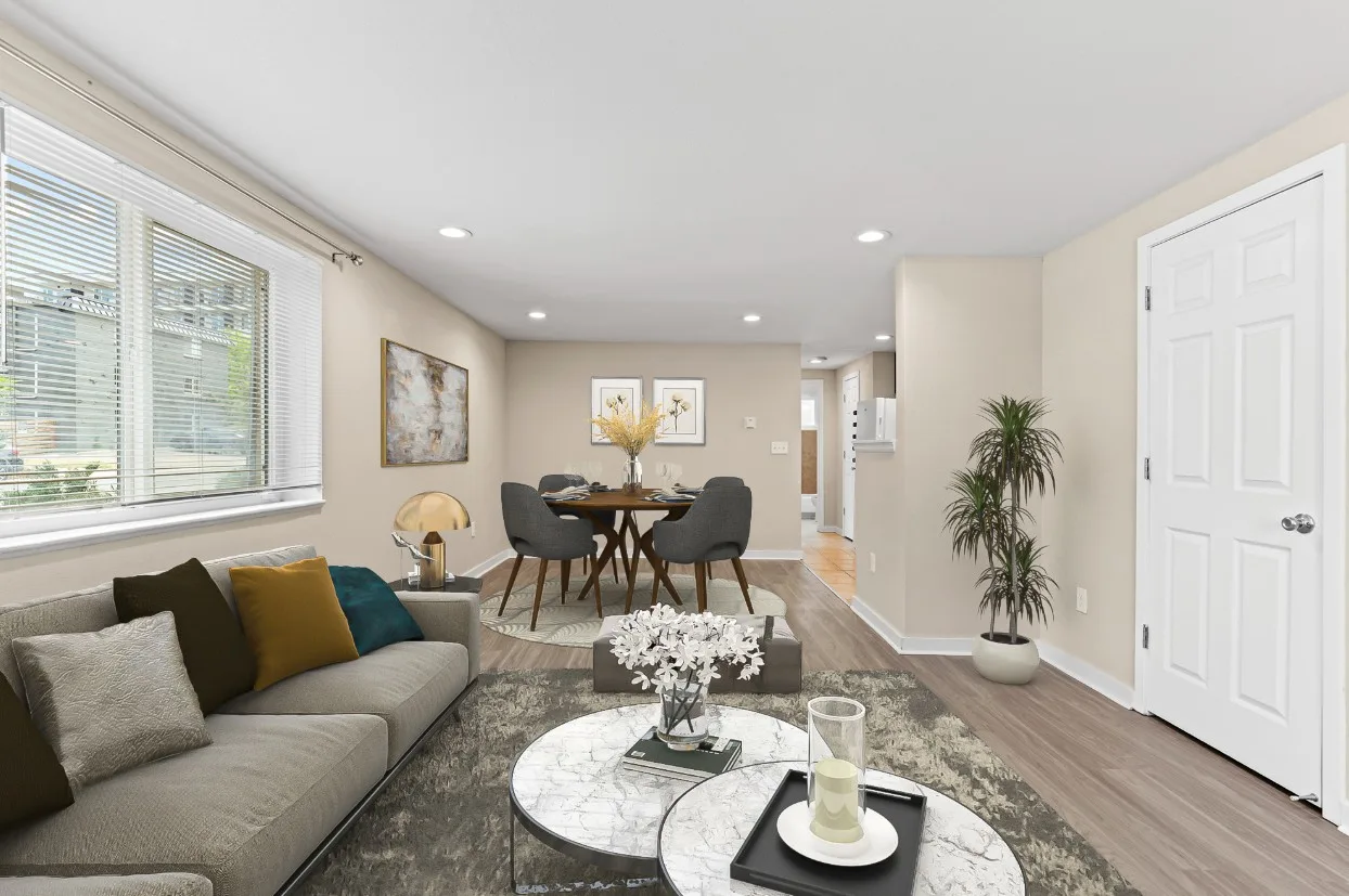 Apartment Living Room & Dining Area