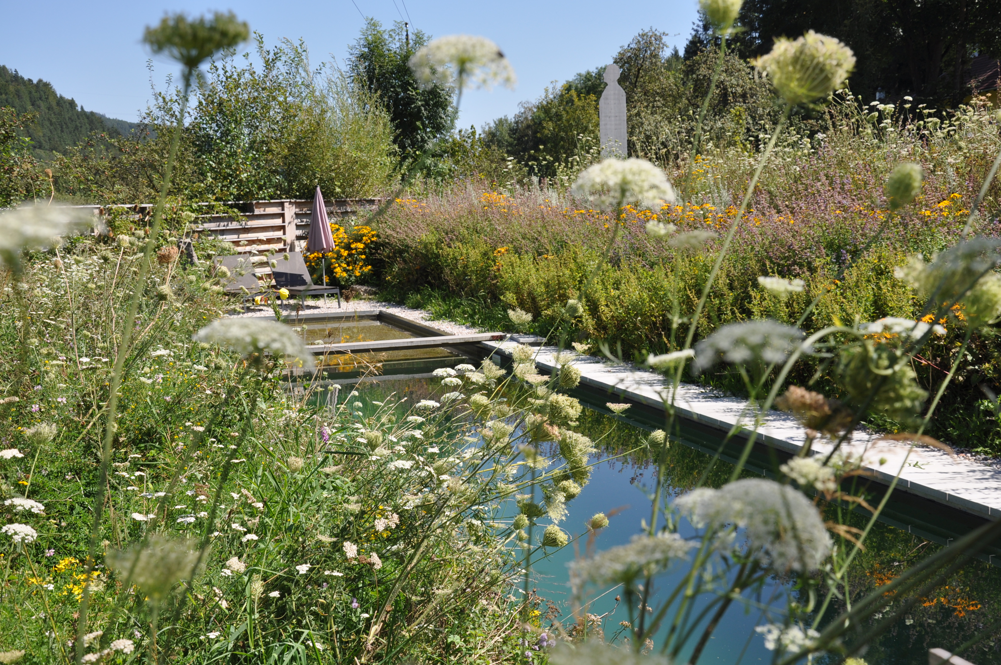 Schwimmteich & Gartengestaltung Matheis KG, Sonnenweg 1 in Würmla