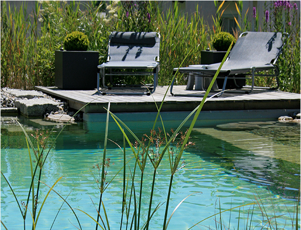 Leuenberger AG Gärtnerei, Baslerstrasse 14 in Laufenburg