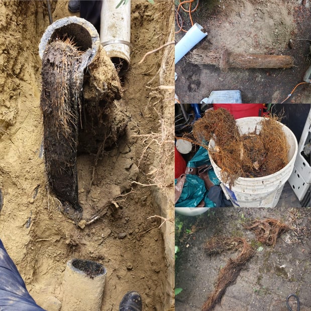 Images Knight Rooter Sewer & Drain Cleaning Services