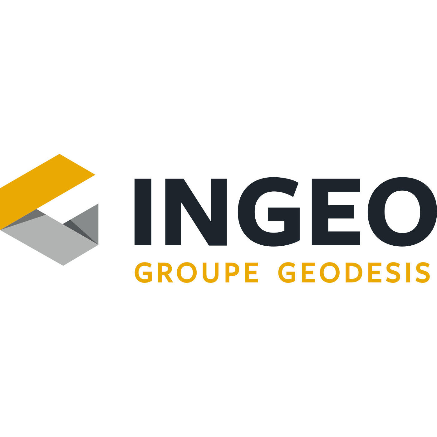 Ingeo SA Logo