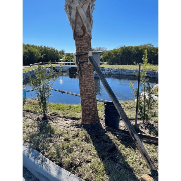 Images Schurlknight Landscaping