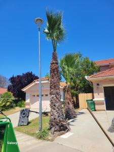 4 Winds Tree Service - Tree trimming