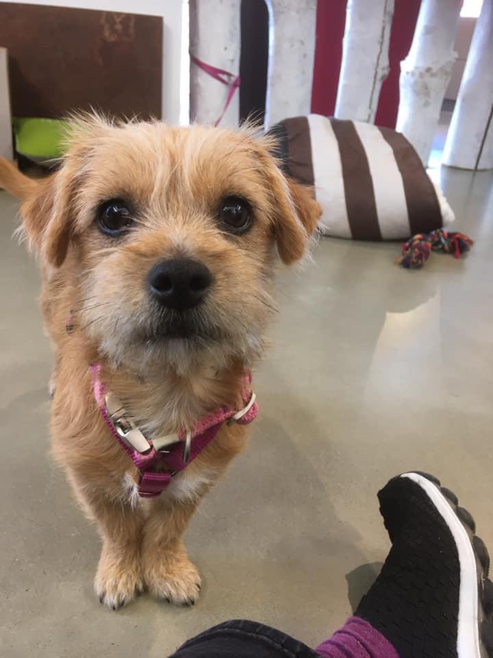 Wohnkonzept Bauer Inh. Claudia W.M. Bauer, Weberegg 23 in Heimschuh