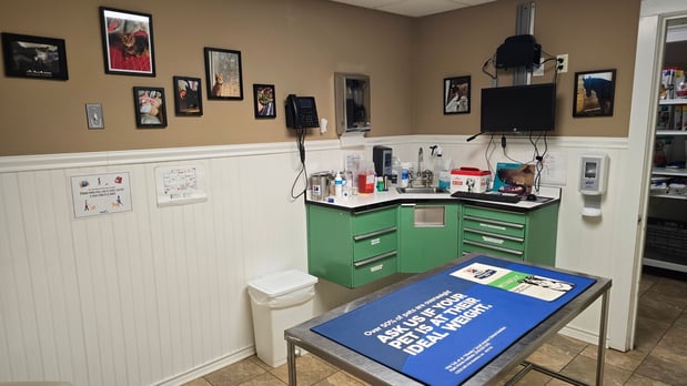 Images Closter Animal Hospital