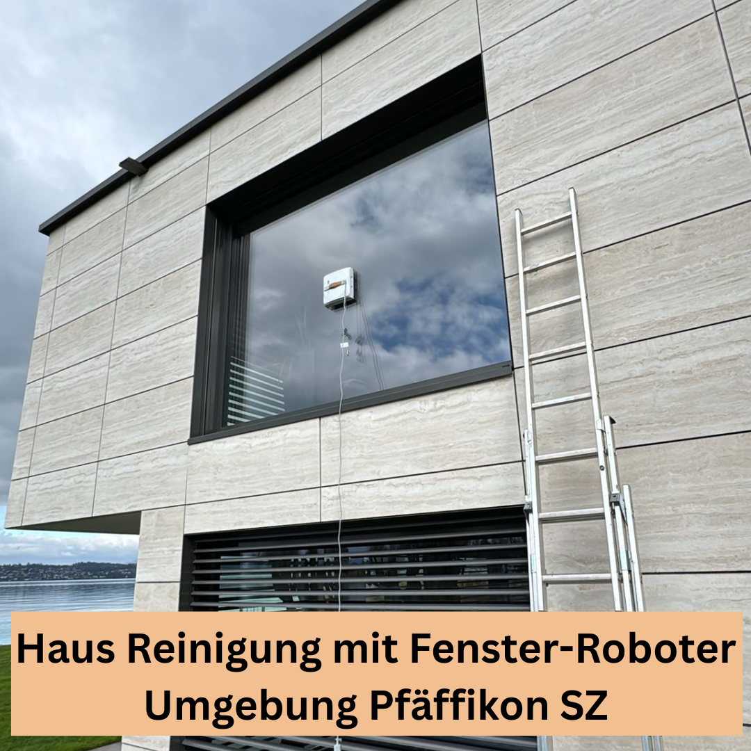 Bilder Sopa Reinigung