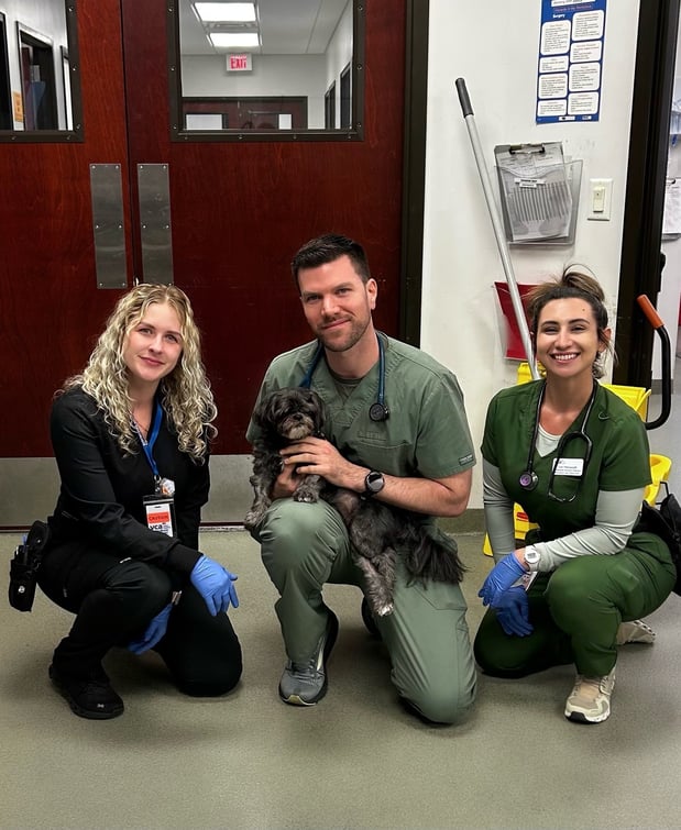 Images VCA Palm Beach Veterinary Specialists