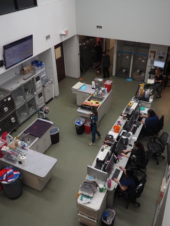 Images VCA Palm Beach Veterinary Specialists