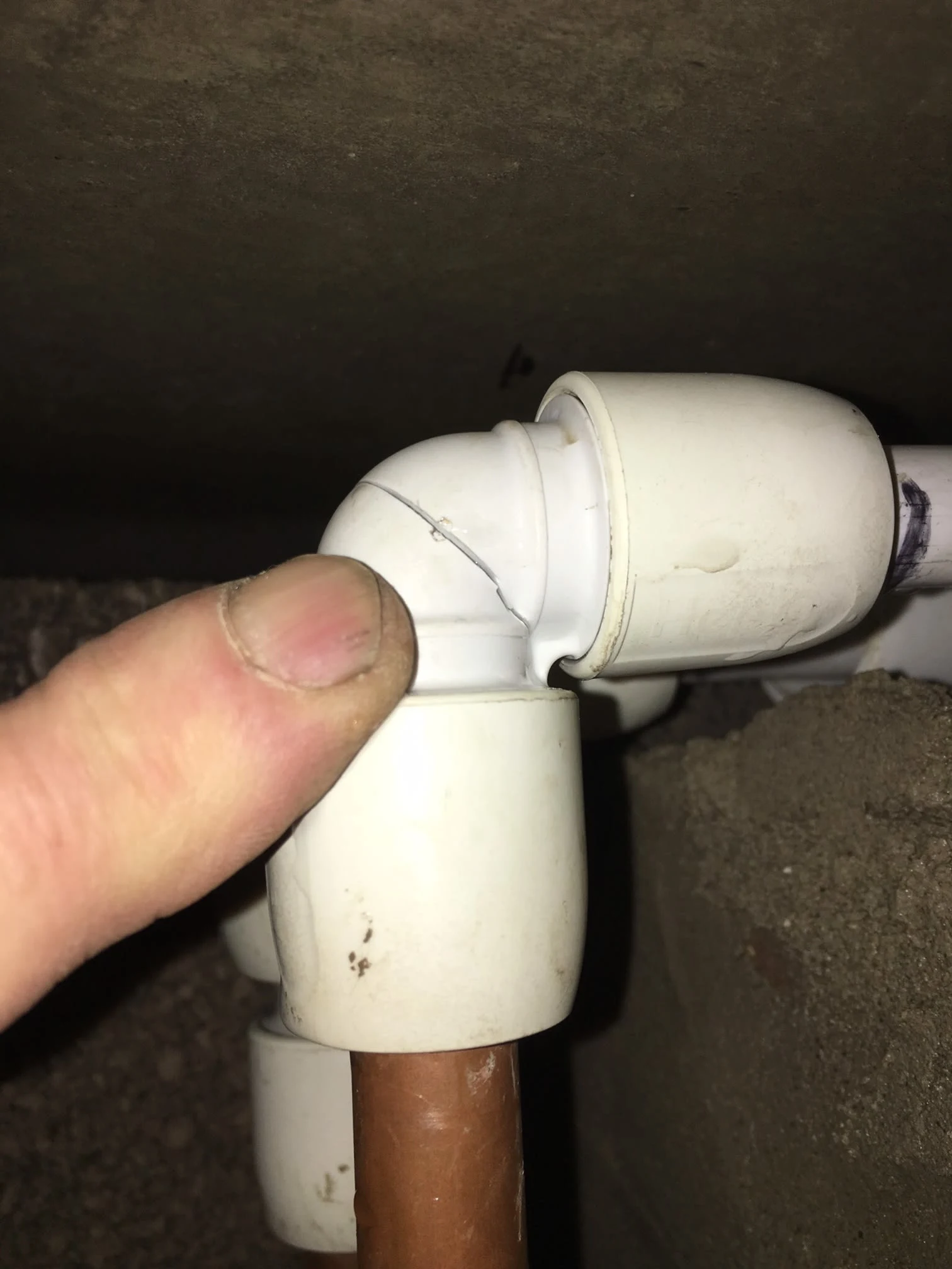 Images Gareth Shallcross