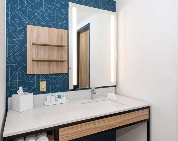 Images Hilton Garden Inn Flint Downtown