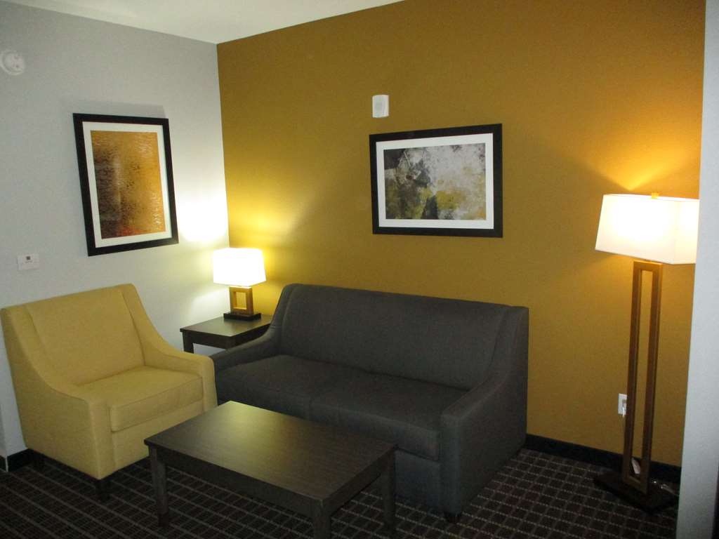 Suite King Guest Room