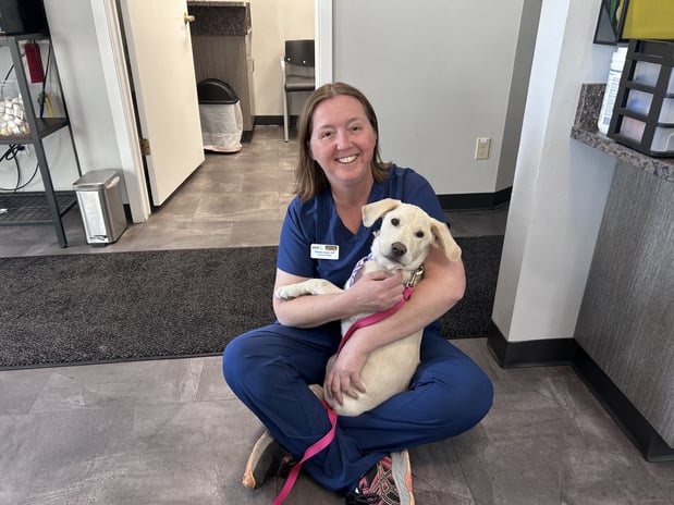Images VCA Peone Pines Animal Hospital
