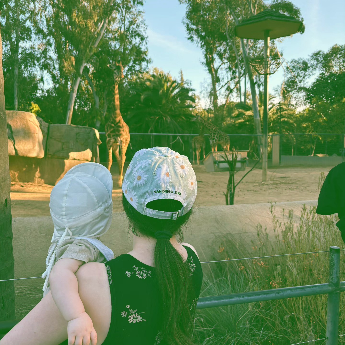 Happy Saint Patrick's Day!