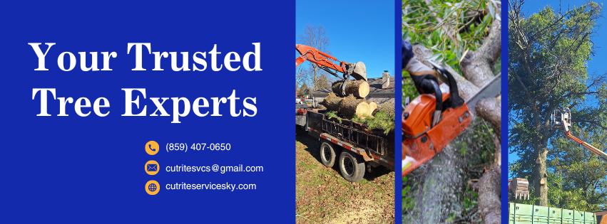 Cut Rite Services, LLC.
