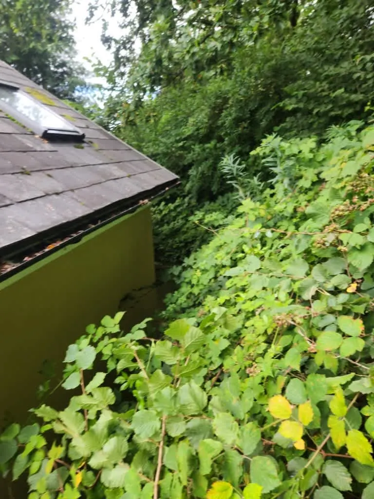 Images Master Moves Man & Van